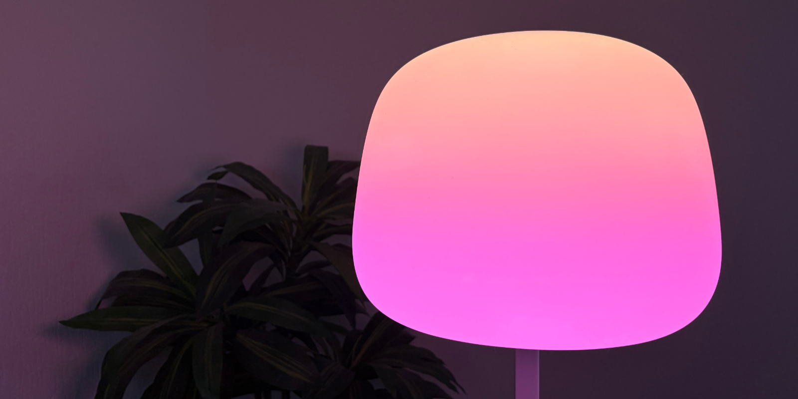 Govee Lantern Floor Lamp ausprobiert